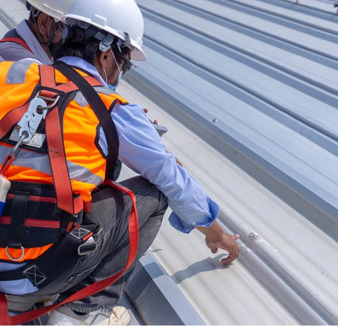 Roof Moss Removal & Prevention