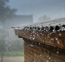 Roof Protection In Portland By Dr Roof Inc